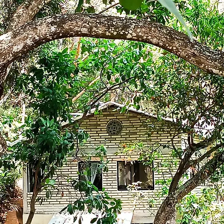 Eden Los Abuelos 2 - Casa Privada En Minca Nature Exterior photo