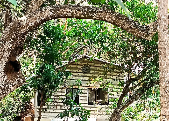 Eden Los Abuelos 2 - Casa Privada En Minca Nature