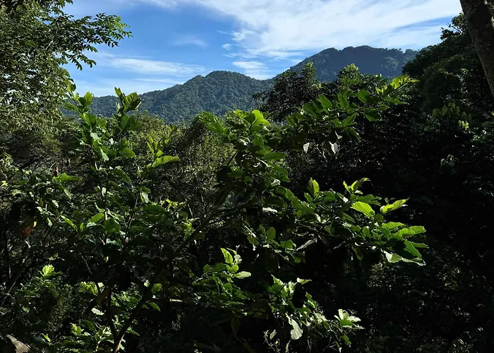 Eden Los Abuelos 2 - Casa Privada En Minca Nature
